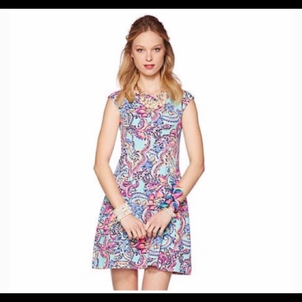 Lilly Pulitzer Briella dress - lightly worn